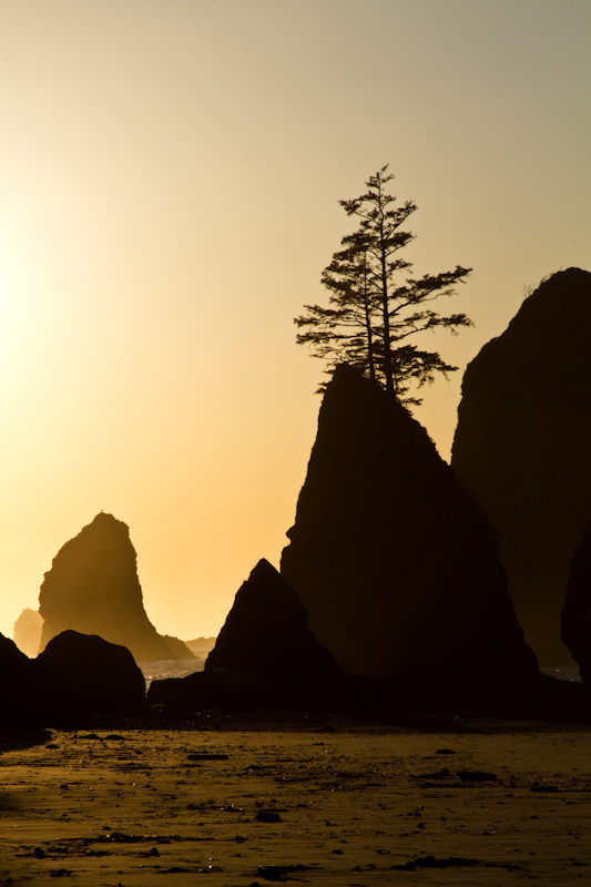 Point Of Arches At Sunset